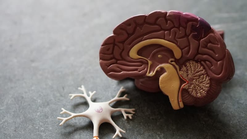 Volta Medical AI for Atrial Fibrillation Presented at Heart Rhythm Society 2026